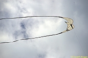 32 FESTIVAL CERVIA 2012 - 324